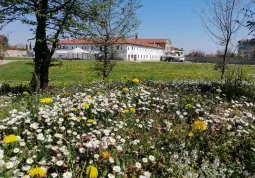 Domenica apertura mensile gratuita del parco-museo dell'Ingenio 